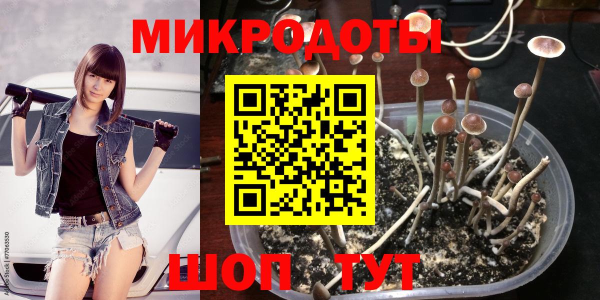 Псилоцибиновые грибы мицелий Кызыл