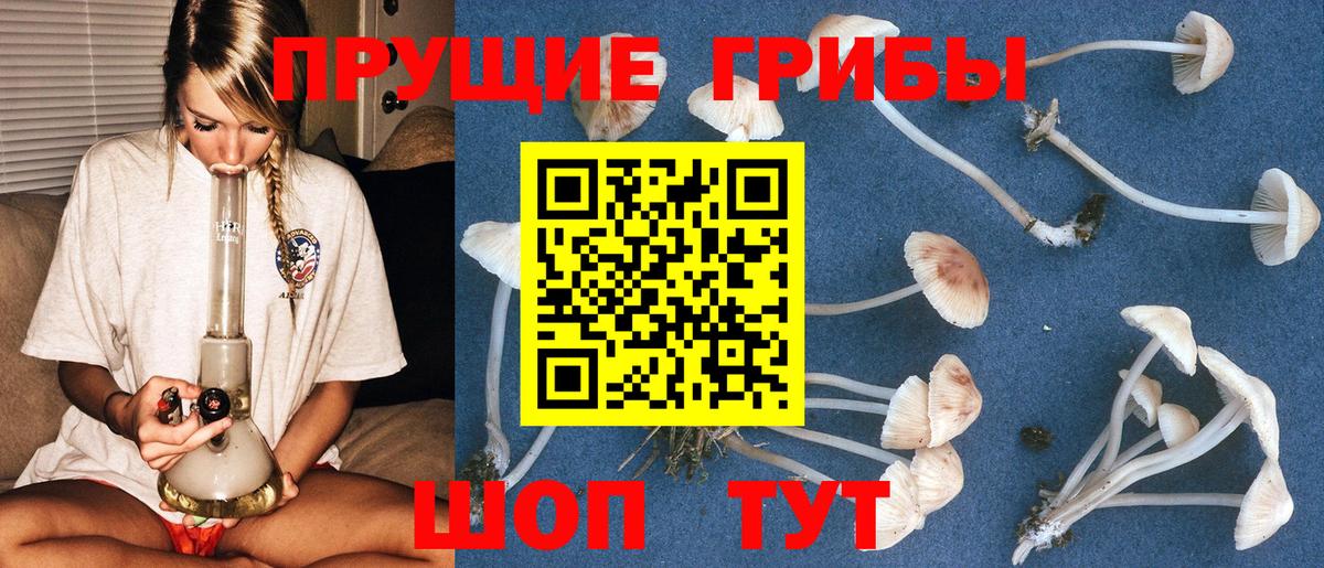 Кызыл  Псилоцибиновые грибы мицелий  Галлюциногенные грибы GOLDEN TEACHER  Вход с VPN 